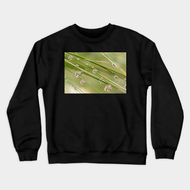 Water Drops on Grass Crewneck Sweatshirt by mariola5